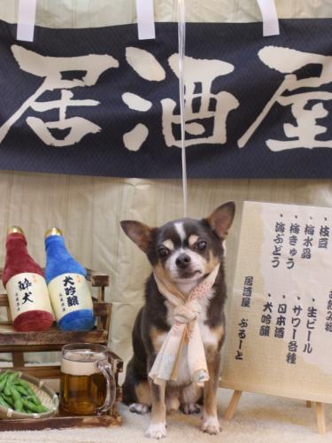 20240615メルくん